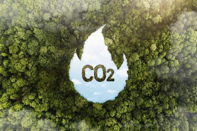 CO2 printed into tress